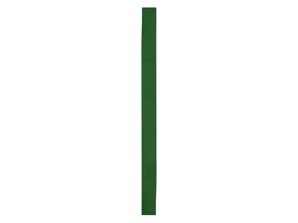 Лента для шляпы COMET_1