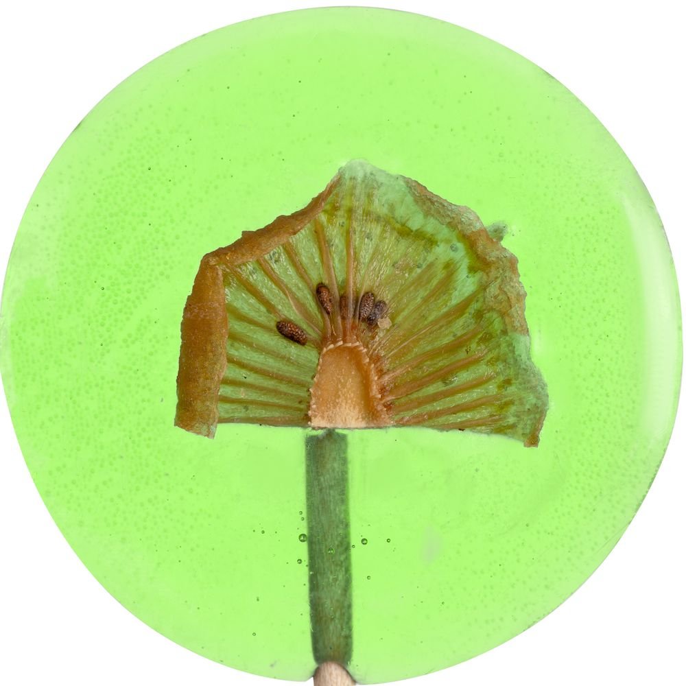 Леденец Lollifruit, зеленый с киви_2