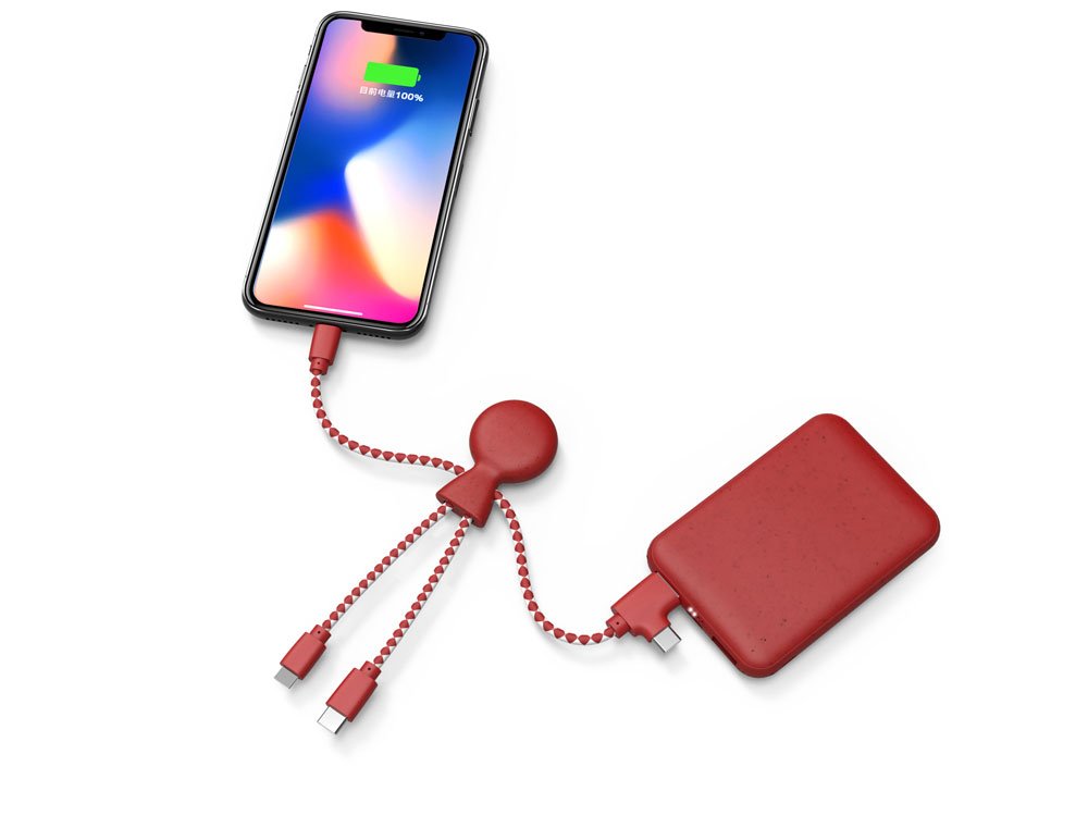 Портативное зарядное устройство BioPack c кабелем Mr. Bio, 5000 mAh_3