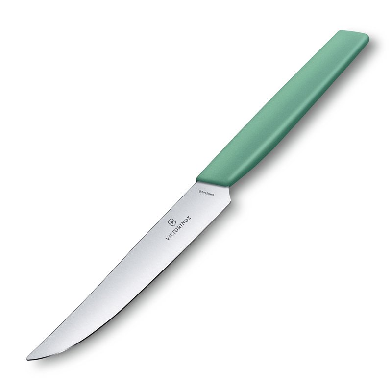 Нож для стейка VICTORINOX Swiss Modern, лезвие 12 см с прямой кромкой, мятно-зелёный_2