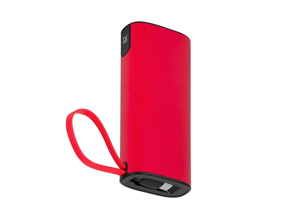 Внешний аккумулятор NEO Tech, 10000 mAh_1